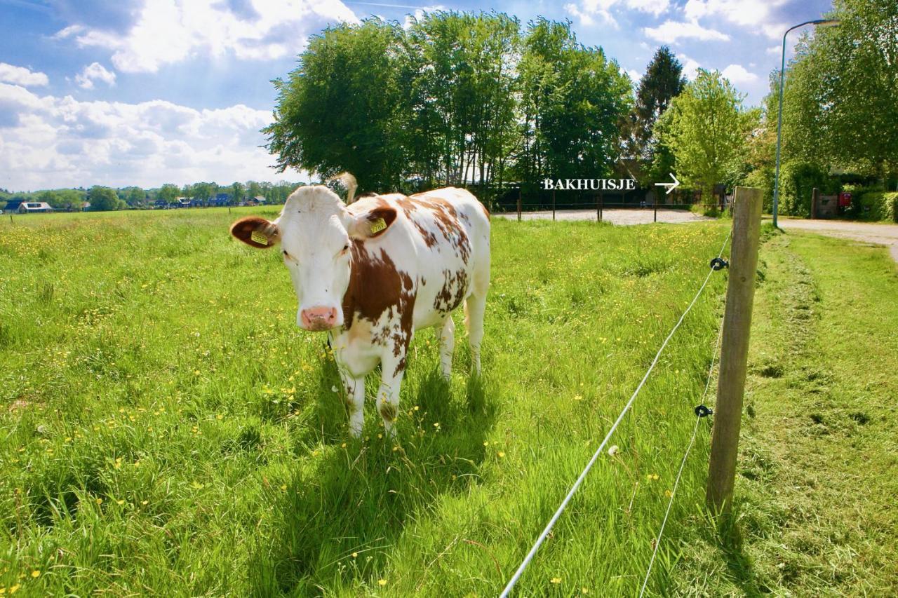 Bakhuisje Op De Veluwe Heerde Екстер'єр фото