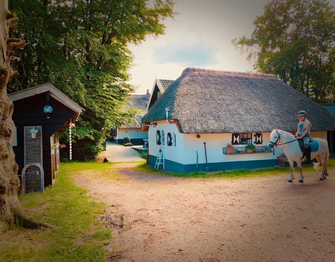 Bakhuisje Op De Veluwe Heerde Екстер'єр фото