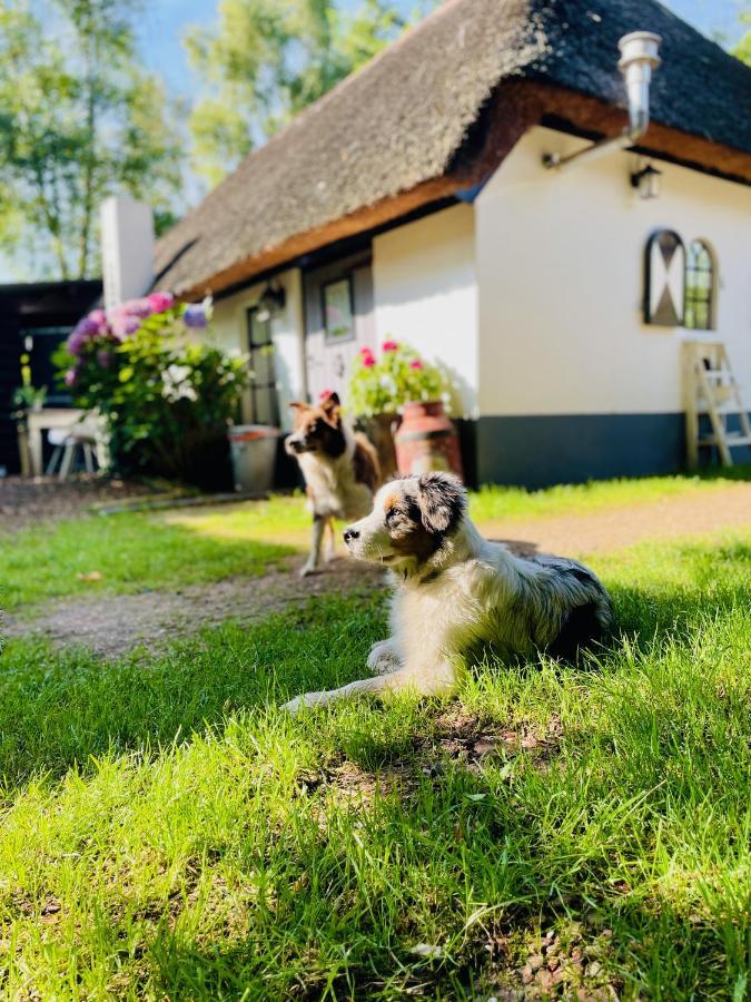 Bakhuisje Op De Veluwe Heerde Екстер'єр фото