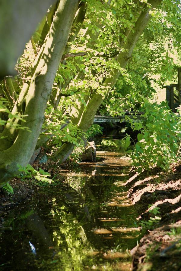 Bakhuisje Op De Veluwe Heerde Екстер'єр фото